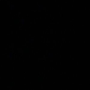 Meet your Posher, Mariam